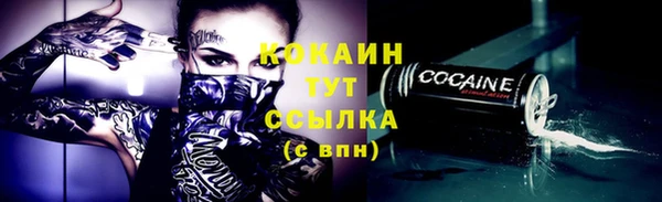 прущий лед Алзамай