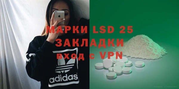прущий лед Алзамай