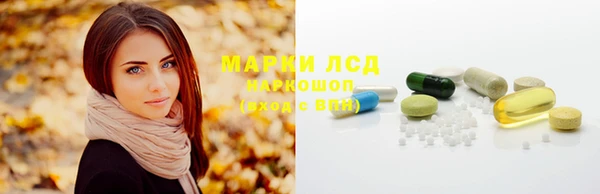 прущий лед Алзамай