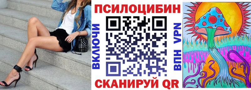 Псилоцибиновые грибы мицелий  закладки  Ардон 